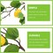 3-Piece Artificial Lemon Branches with Green Leaves – Lifelike Plastic Lemons for Home, Kitchen, Office, and Party Décor, 12.6 × 4.7 Inches